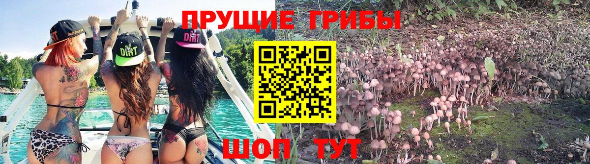 Галлюциногенные грибы прущие грибы Шали